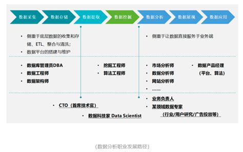 数据分析师职业发展路径