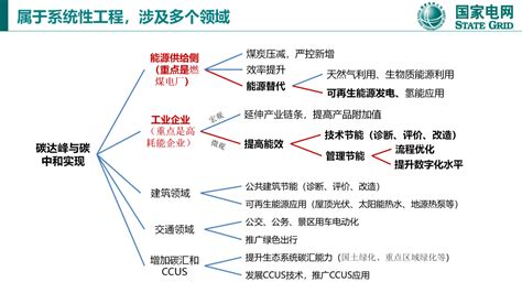 国网研究：碳达峰和碳中和的国际经验与中国方案（附文件）_能源_应用_目标