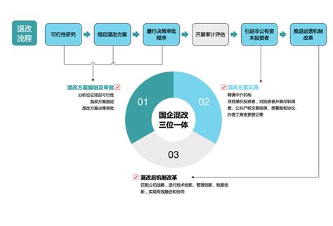 混合所有制改革