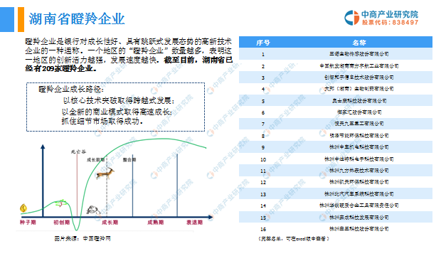 湖南省2019年经济总量_湖南省涉外经济学院(2)